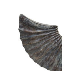 Dekoracja Ozdoba Muszla betonowa Mystic 50cm